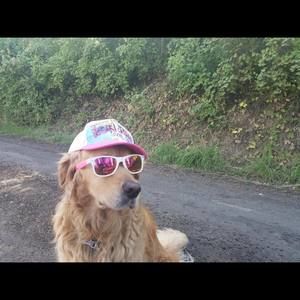 Meet your Posher, Caitlin